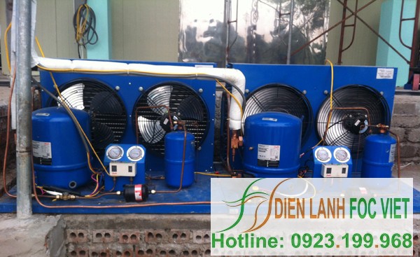 thiết kế lắp đặt kho lạnh chuyên nghiệp