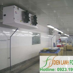 lắp đặt kho lạnh thủy sản