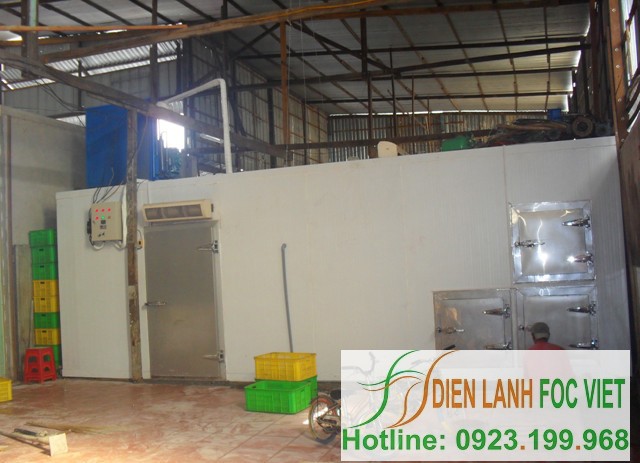 lắp đặt kho lạnh trái cây