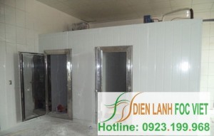 Đa dạng các dịch vụ lắp đặt kho lạnh thực phẩm đông lạnh