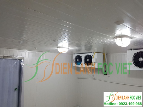Lắp đặt kho lạnh bảo quản vacxin