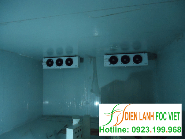 largest cold storage