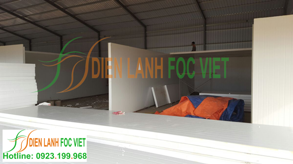lắp đặt kho lạnh bảo quản gạo