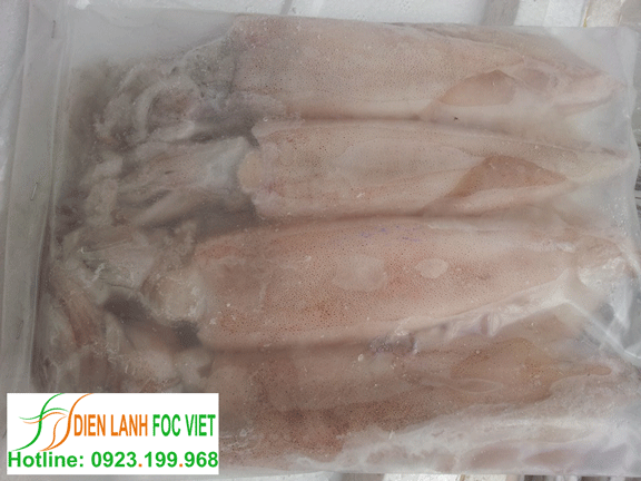 kho lạnh bảo quản mực, thủy hải sản