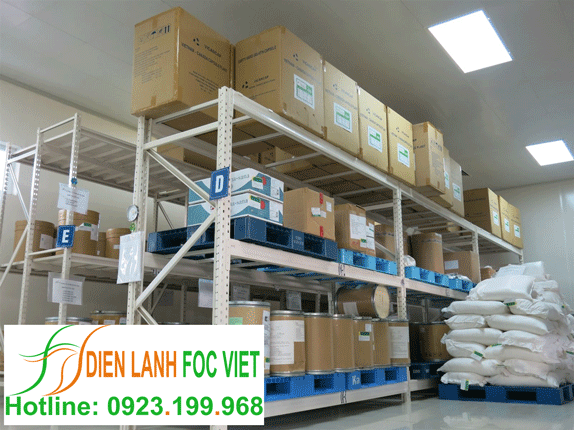 kho lạnh bảo quản thuốc, vacxin, dược phẩm đạt tiêu chuẩn yêu cầu của Bộ Y tế