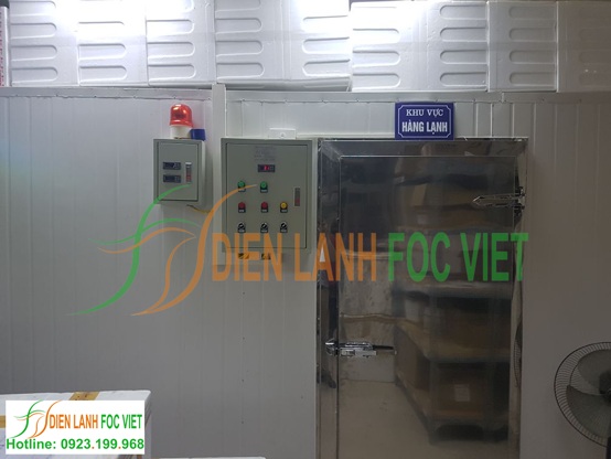 lắp đặt kho lạnh bảo quản thuốc, lắp đặt kho lạnh vacxin