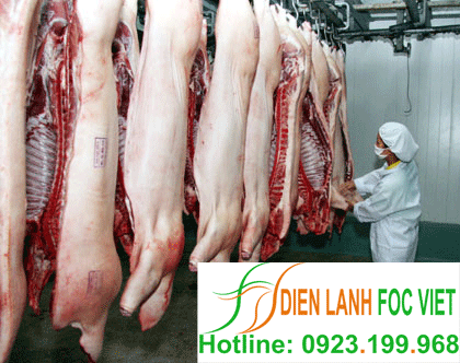 lắp đặt kho lạnh bảo quản thịt lợn, bảo quản thịt gà, bảo quản thịt bò,