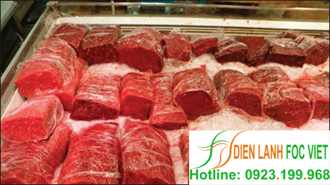 lắp đặt kho lạnh bảo quản thịt lợn, bảo quản thịt bò, bảo quản thịt gà, bảo quản chân gà...