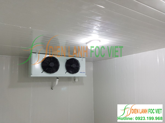 lắp đặt kho lạnh bảo quản tảo xoắn