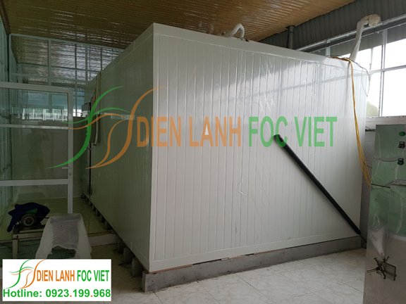 lắp đặt kho lạnh bảo quản tảo xoắn