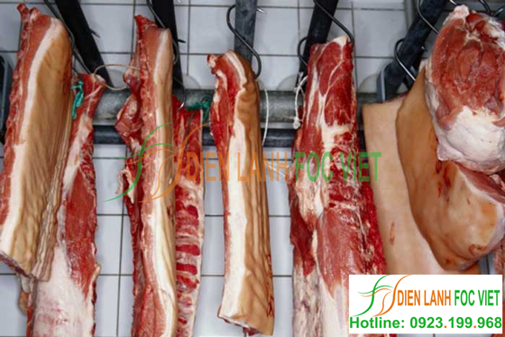 Thi công kho lạnh bảo quản thịt lợn, bảo quản thịt gà, bảo quản thịt bò