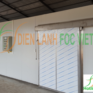kho lạnh bảo quản dưa lưới, kho lạnh bảo quản chuối xanh, lắp đặt kho lạnh bảo quản dưa lưới