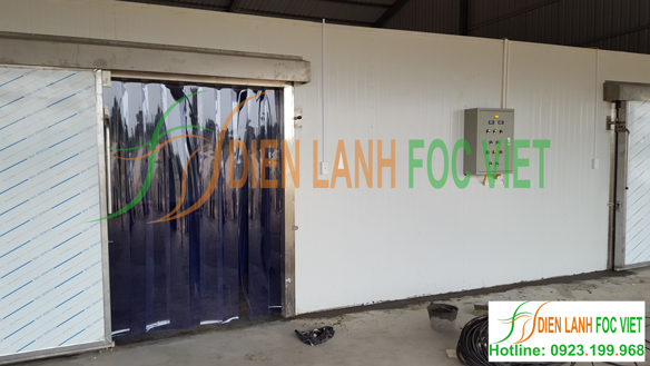 kho lạnh bảo quản dưa lưới