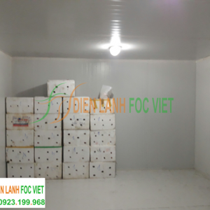 lắp kho lạnh bảo quản cam tươi, lắp đặt kho lạnh bảo quản cam tươi