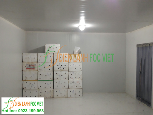 lắp kho lạnh bảo quản cam tươi, lắp đặt kho lạnh bảo quản cam tươi