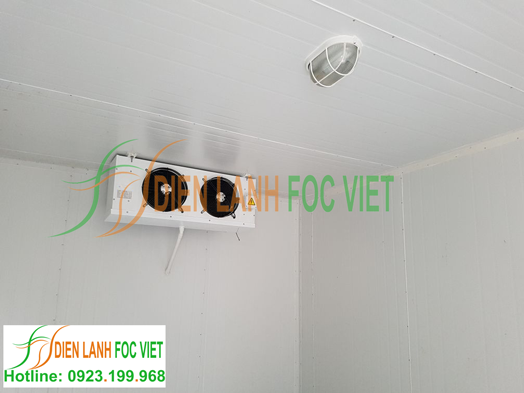 Lắp đặt kho lạnh bảo quản dứa