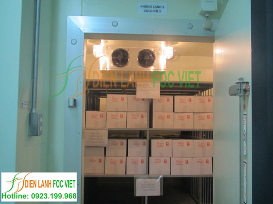 Lắp đặt kho lạnh bảo quản sinh phẩm y tế