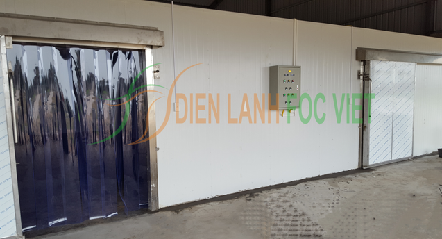 Dịch vụ lắp đặt kho lạnh chuẩn