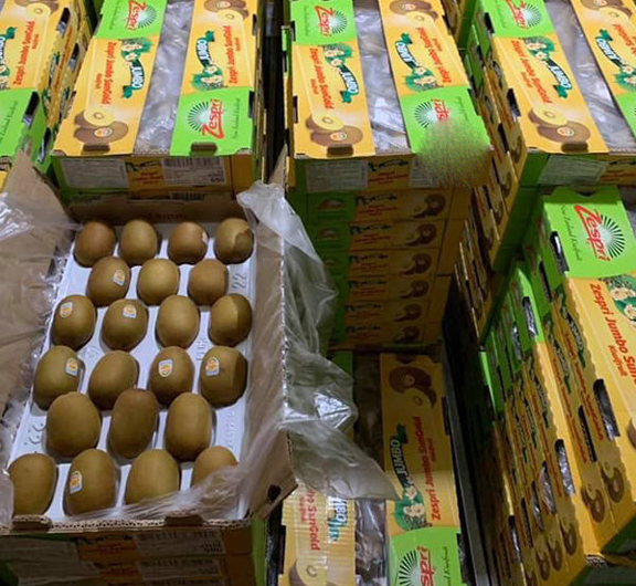 kho lạnh bảo quản trái cây nhập khẩu