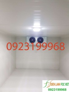 Lắp kho lạnh bảo quản cá hồi
