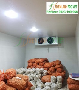 Lắp đặt kho lạnh khoai tây tại Bắc Giang