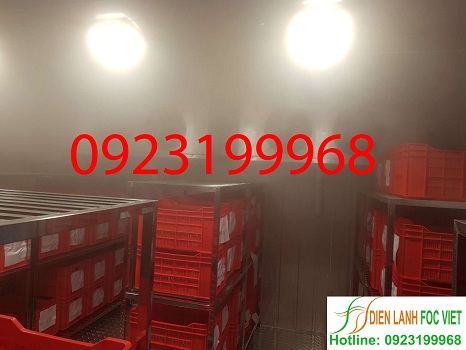 lắp đặt kho lạnh bảo quản máu