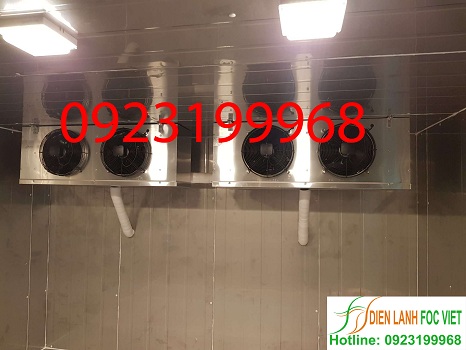 lắp đặt kho lạnh bảo quản máu